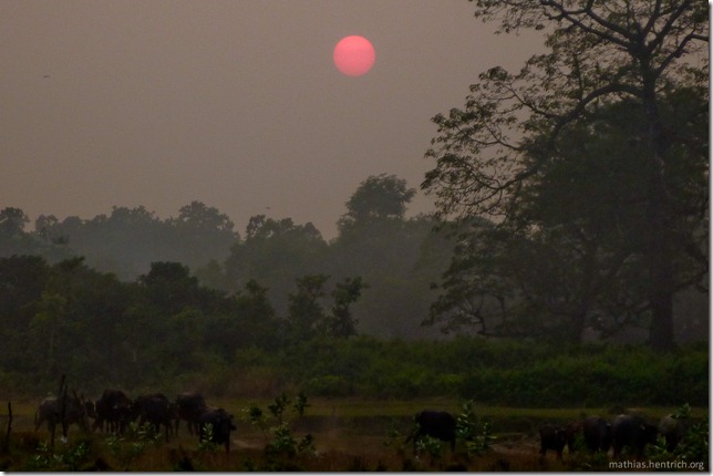 101114_P1030092_Nepal, Chitwan Nationalpark, Unterkunft, Sonnenuntergang